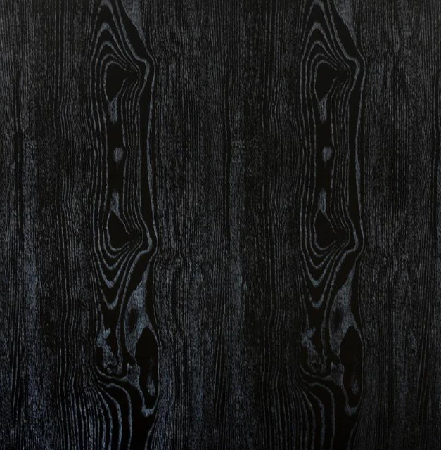 RV CRL6021 PLACAS DE WPC BAMBOO CHARCOAL │ CLASS UV MARBLE │Medida 8x1220x2800mm OAK BLACK